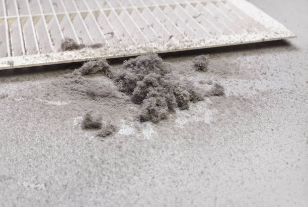 Best Air Duct Cleaning Company Near Me  in Muhlenberg Rk, PA