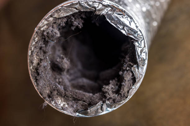 Best Air Duct Cleaning Near Me  in Muhlenberg Rk, PA