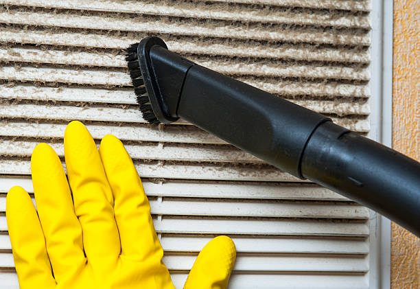 Best Dryer Vent Cleaning Services  in Muhlenberg Rk, PA